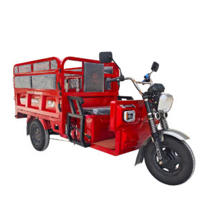 ONEBOT Triciclo Eléctrico MS672A